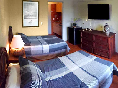 Aurora Suites Zapopan